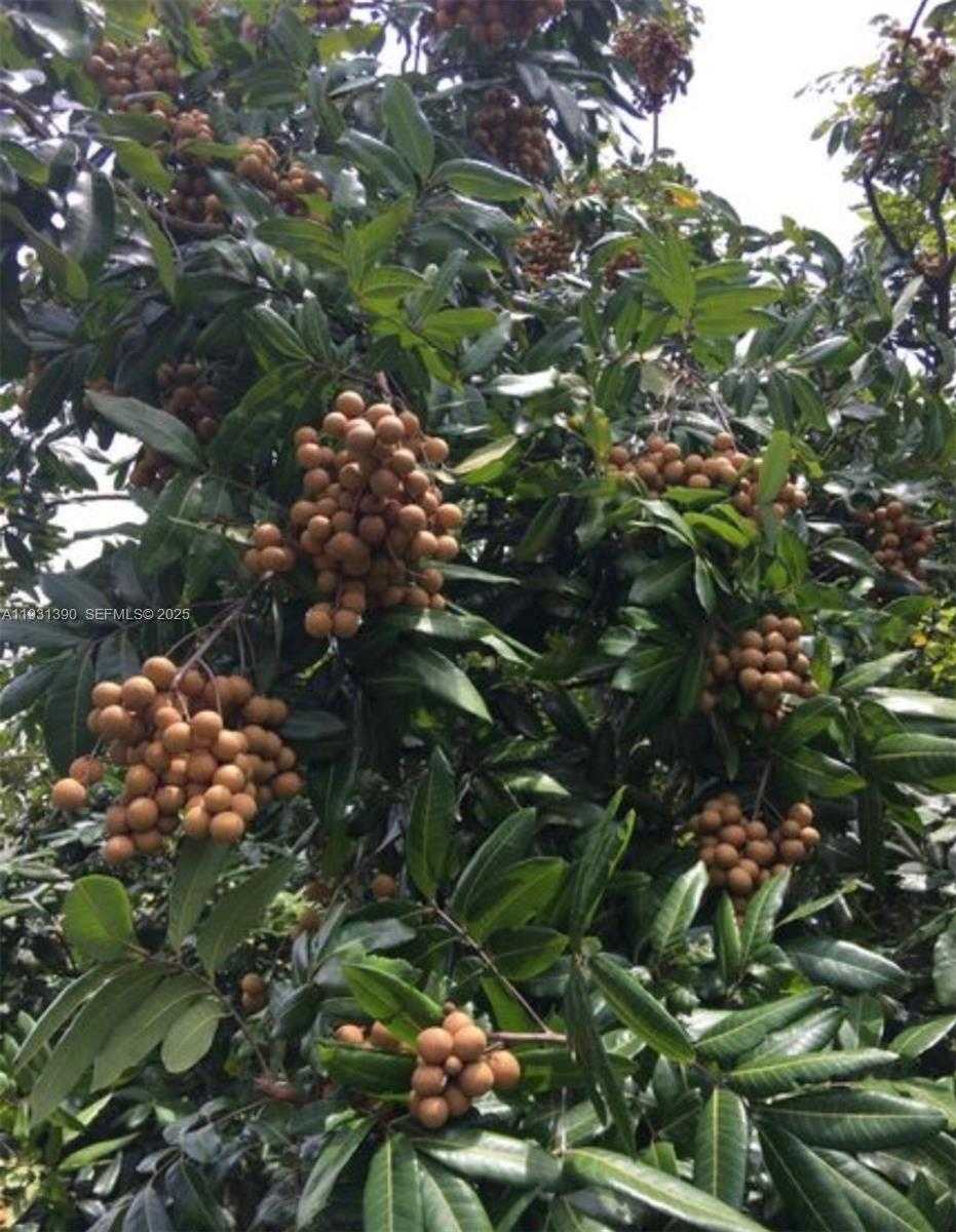 Small Image of 340 SOUTH WEST 217 AVE, Homestead Number 15