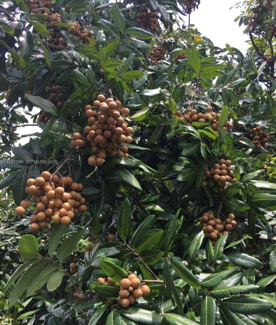 Small Image of 340 SOUTH WEST 217 AVE, Homestead Number 2