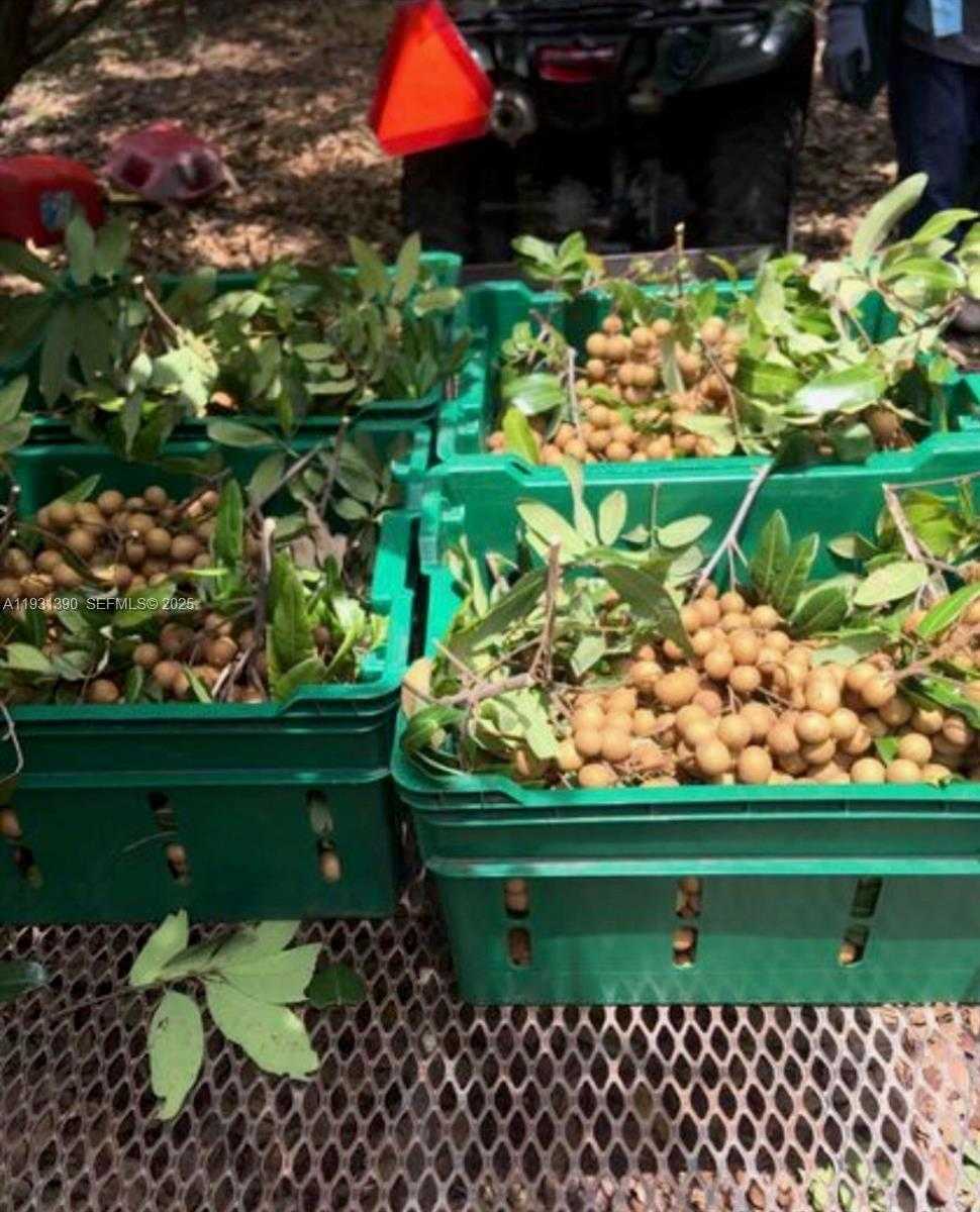 Small Image of 340 SOUTH WEST 217 AVE, Homestead Number 4