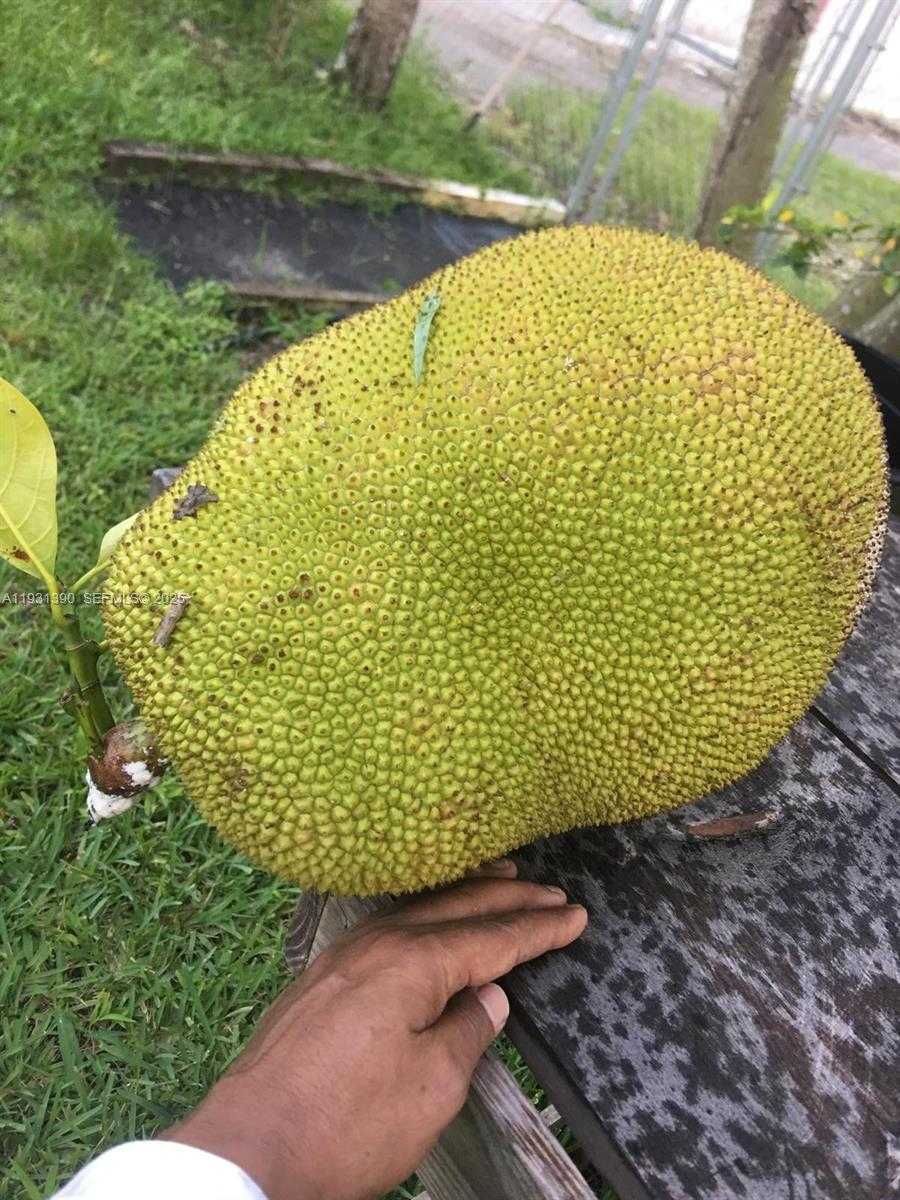 Small Image of 340 SOUTH WEST 217 AVE, Homestead Number 5