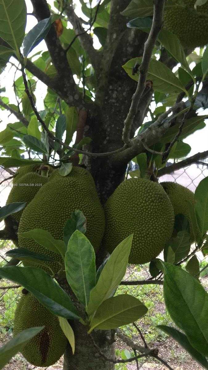 Small Image of 340 SOUTH WEST 217 AVE, Homestead Number 6