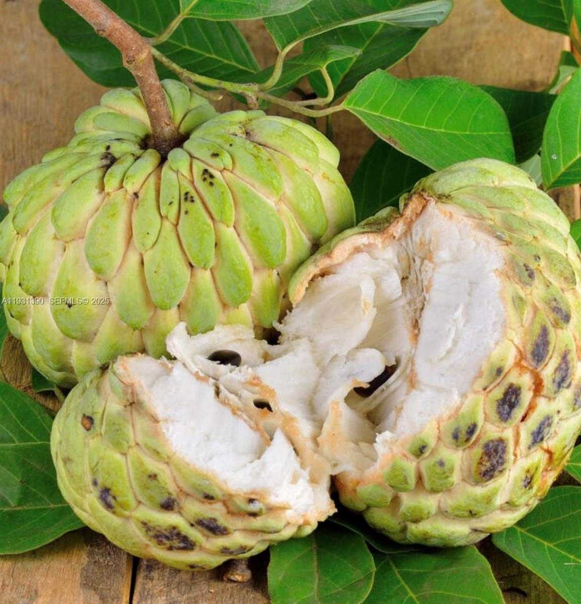 Small Image of 340 SOUTH WEST 217 AVE, Homestead Number 7