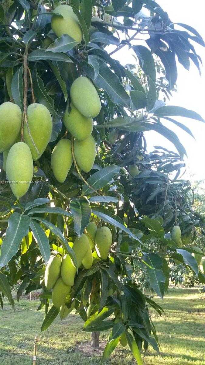 Small Image of 340 SOUTH WEST 217 AVE, Homestead Number 9