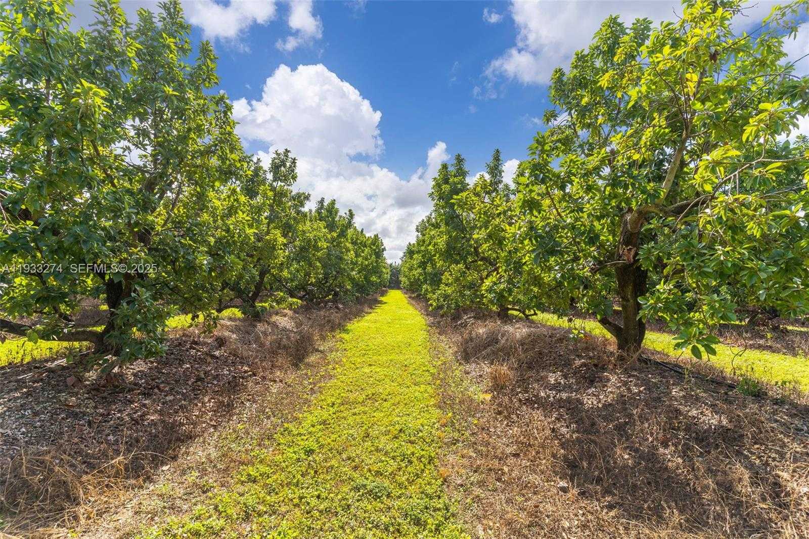 Small Image of 18900 SOUTH WEST 224TH ST, Miami Number 7