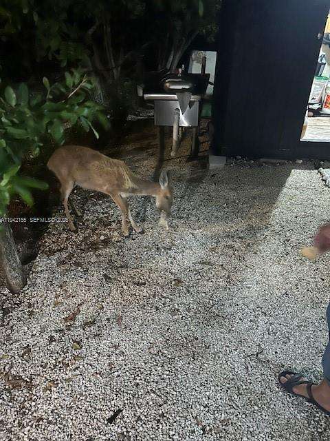 Small Image of 74 PELICAN LN, Big Pine Number 8