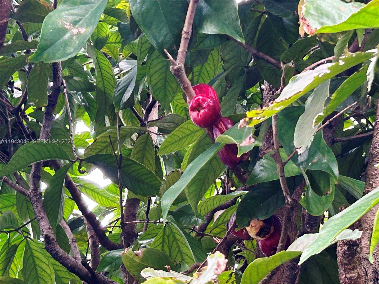 Small Image of 4945 NORTH WEST 55TH CT, Tamarac Number 23