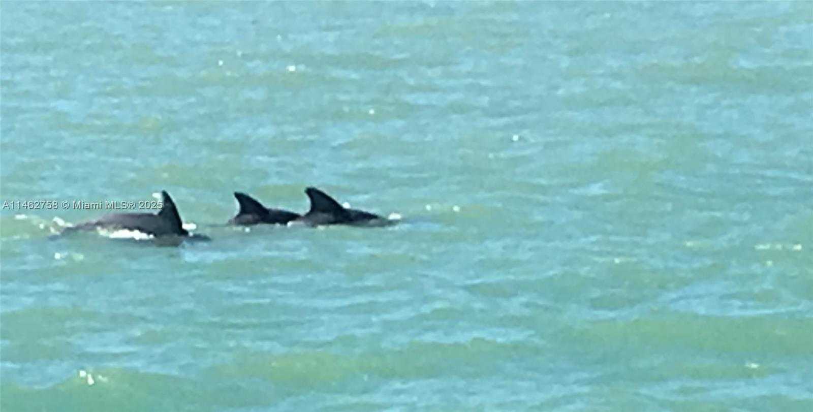 Small Image of 1 CENTURY LN #209, Miami Beach Number 35