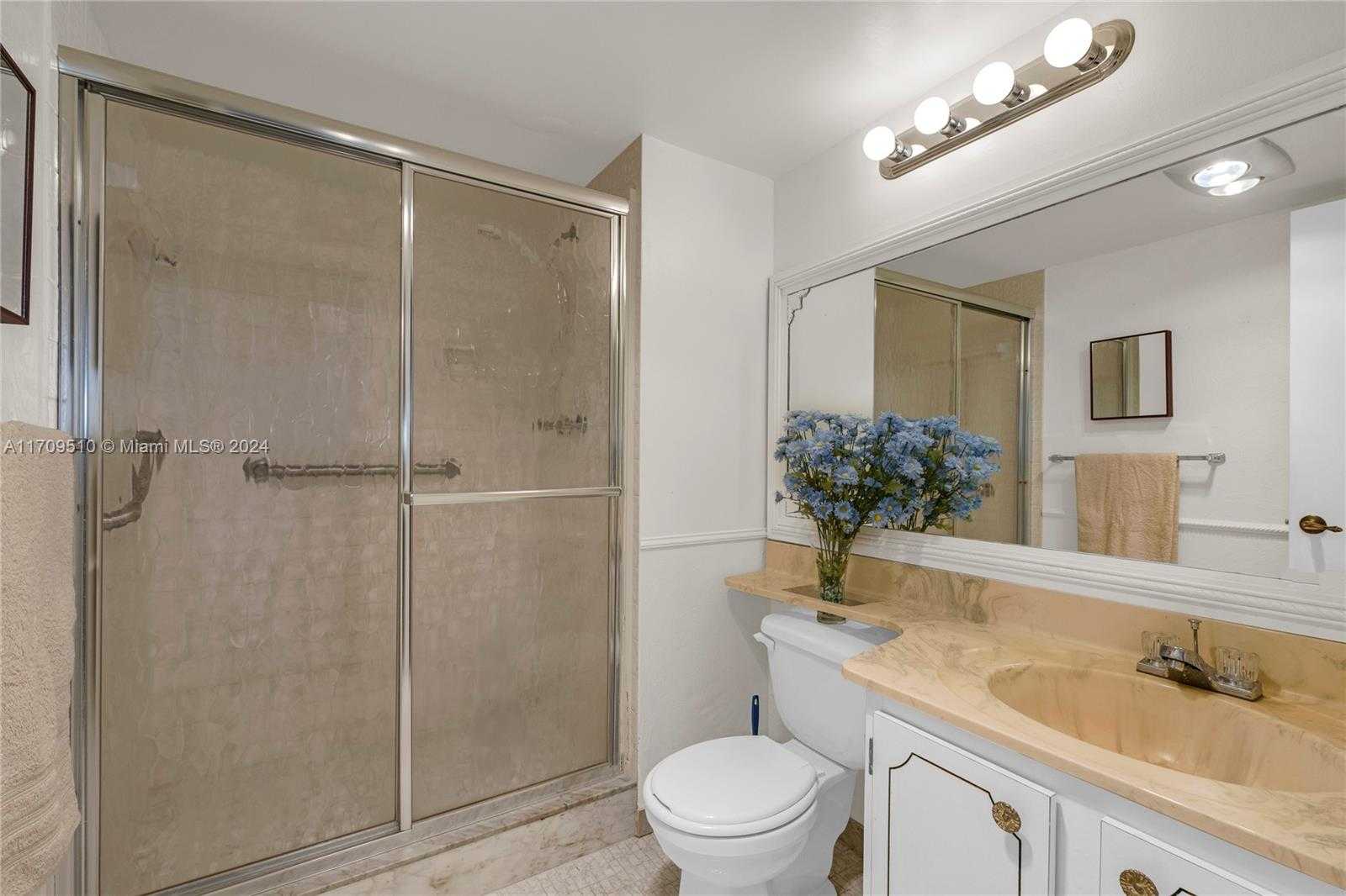 Small Image of 9800 NORTH HOLLYBROOK LAKE DR #109, Pembroke Pines Number 10
