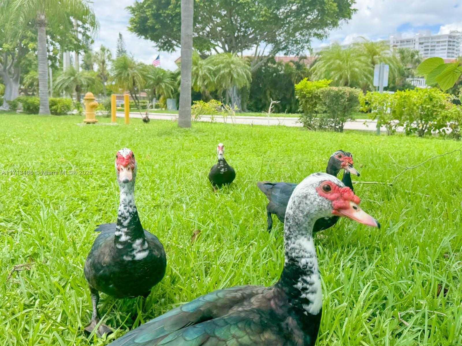 Small Image of 2930 POINT EAST DR #E601, Aventura Number 27