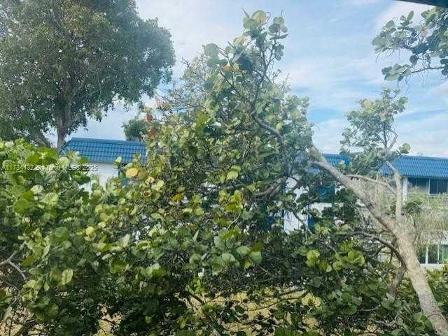 Small Image of 3110 HOLIDAY SPRINGS BLVD #310, Margate Number 9