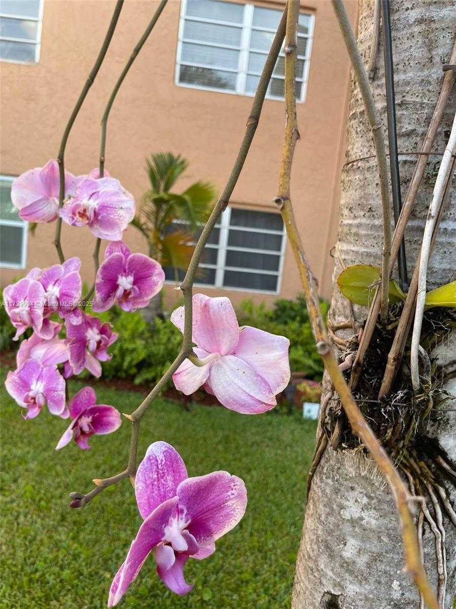 Small Image of 3050 EAST SUNRISE LAKES DR #324, Sunrise Number 23