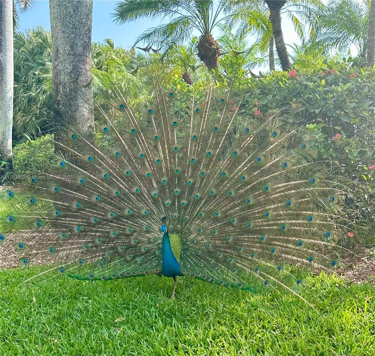 Small Image of 13633 DEERING BAY DR #256, Coral Gables Number 44