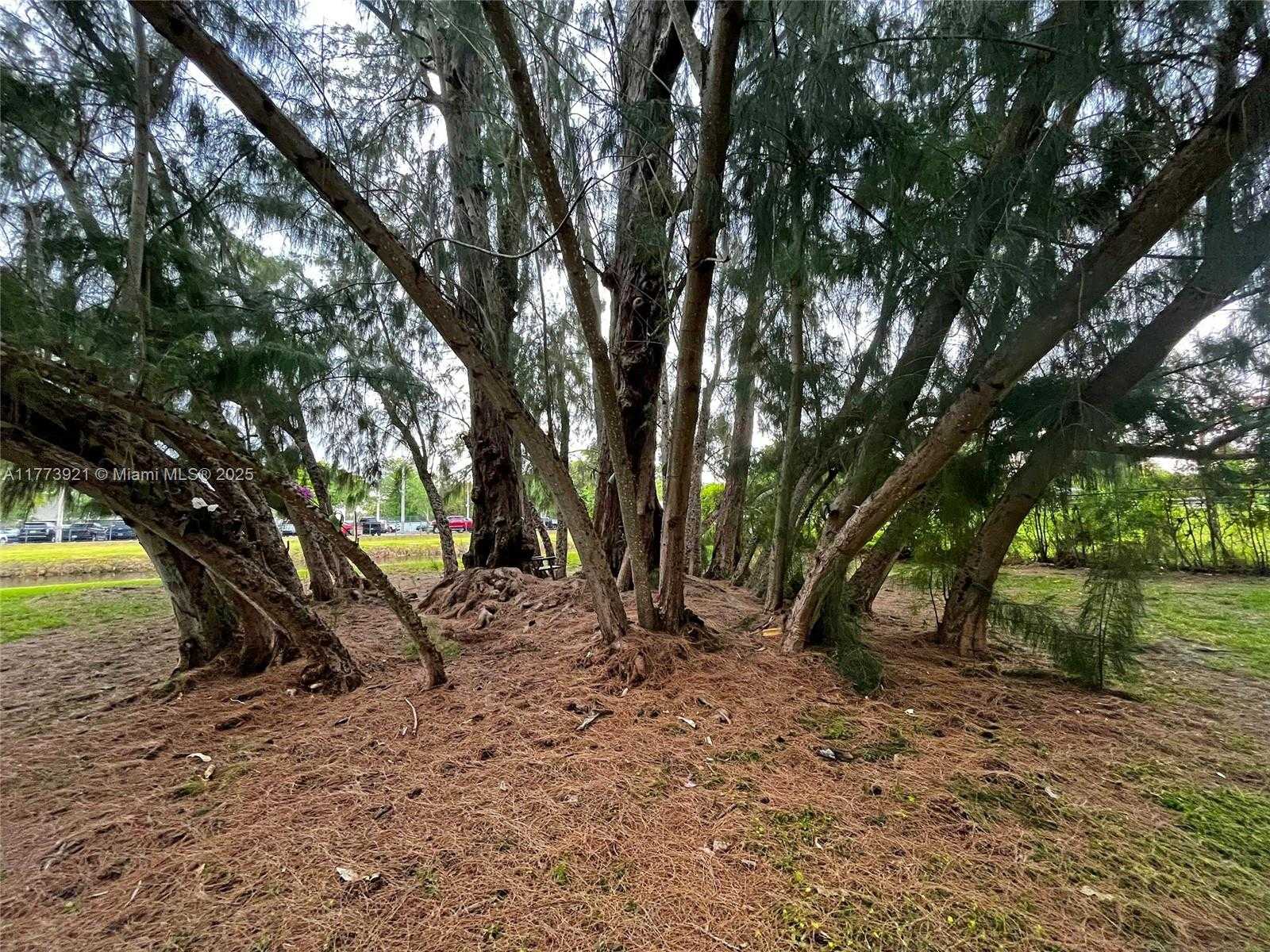 Small Image of 6709 NORTH KENDALL DR #227, Pinecrest Number 33