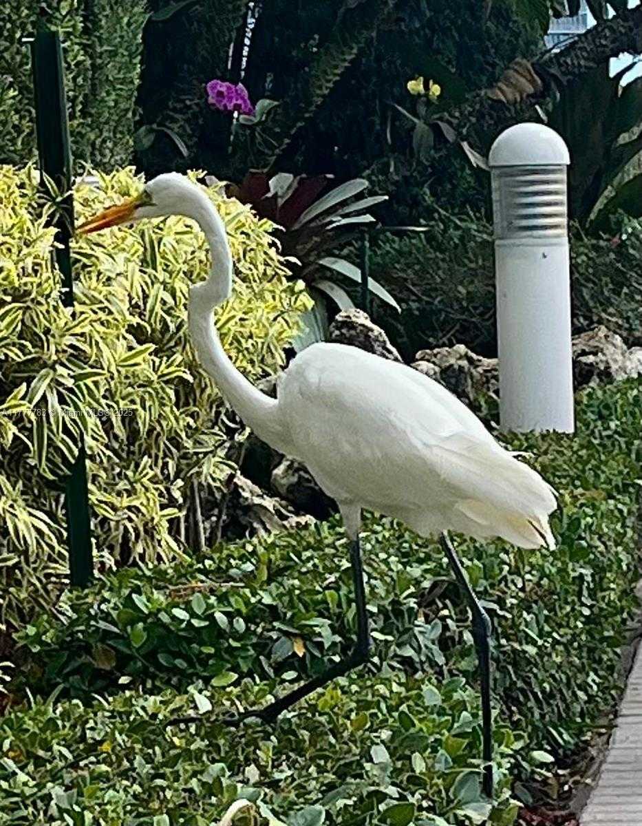 Small Image of 3530 MYSTIC POINTE DR #408, Aventura Number 27
