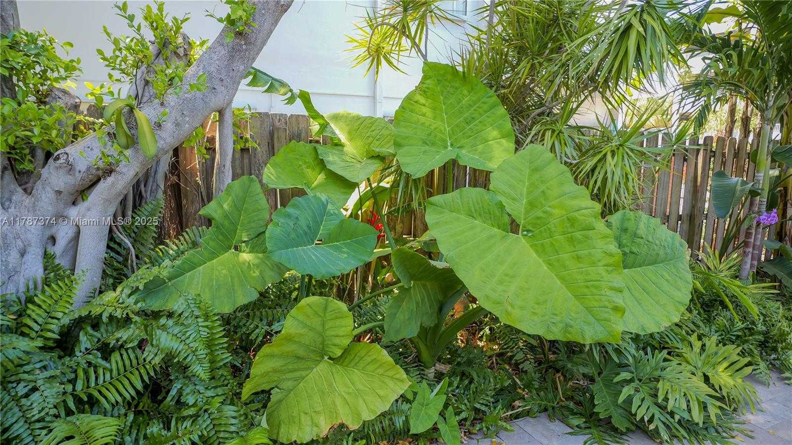 Small Image of 2520 NORTH EAST 9TH ST, Fort Lauderdale Number 37
