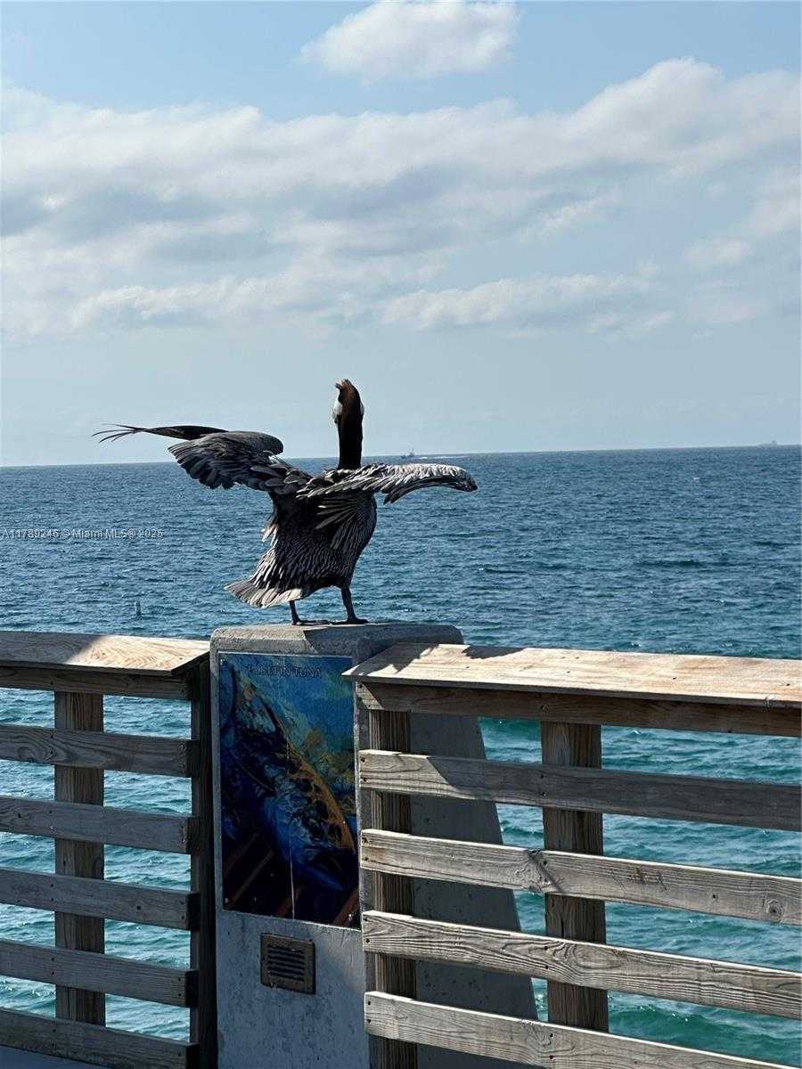 Small Image of 704 NORTH OCEAN BLVD #804, Pompano Beach Number 66
