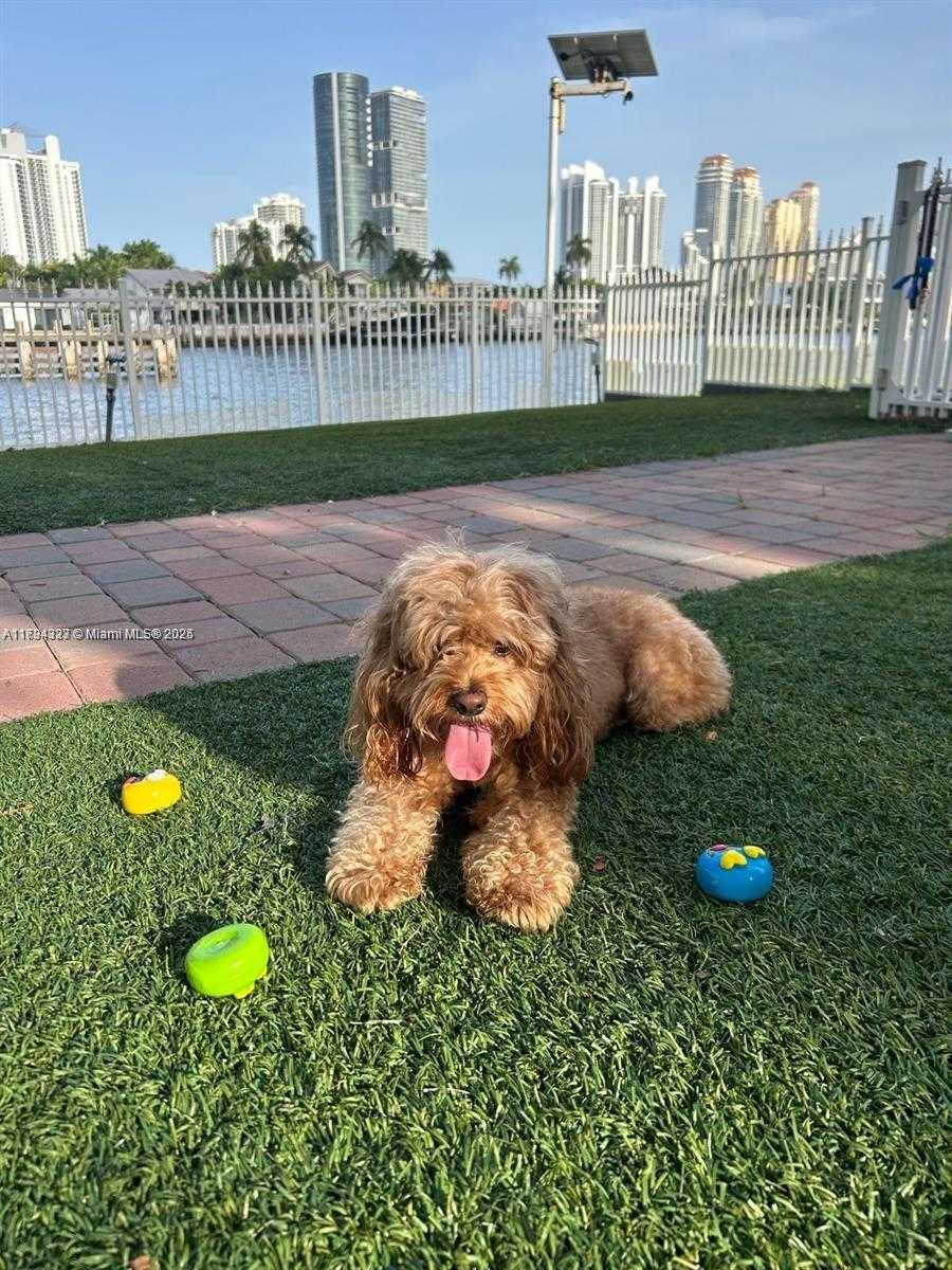 Small Image of 3600 MYSTIC POINTE DR #306, Aventura Number 35