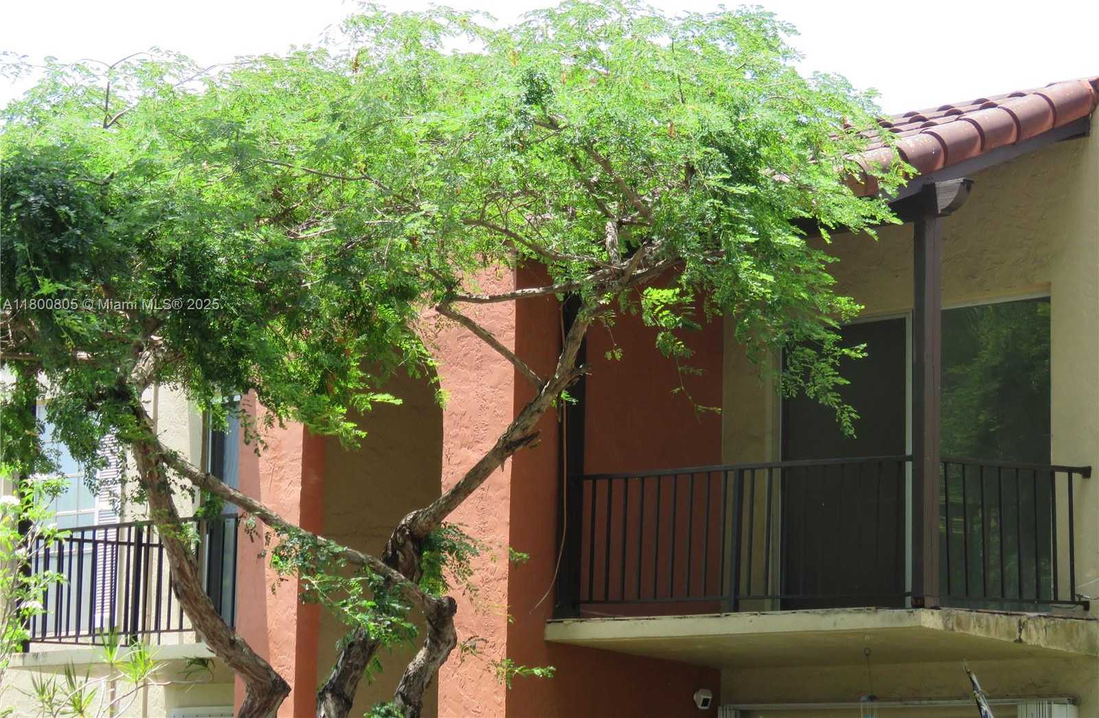 Small Image of 10822 NORTH KENDALL DR #S14, Miami Number 6