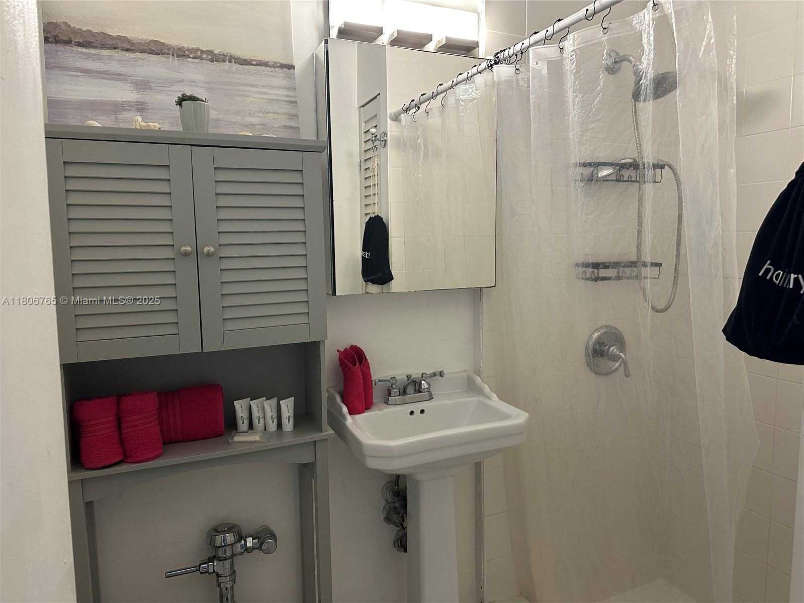 Small Image of 255 WEST 24TH ST #334, Miami Beach Number 15