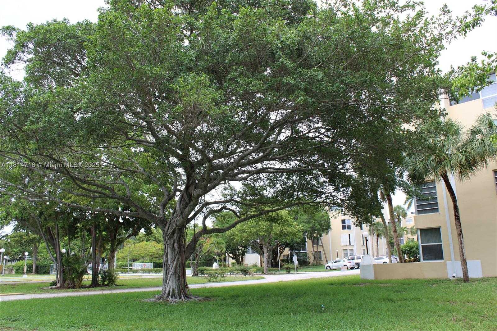 Small Image of 920 NORTH EAST 199TH ST #2S Apt 217, Miami Number 4