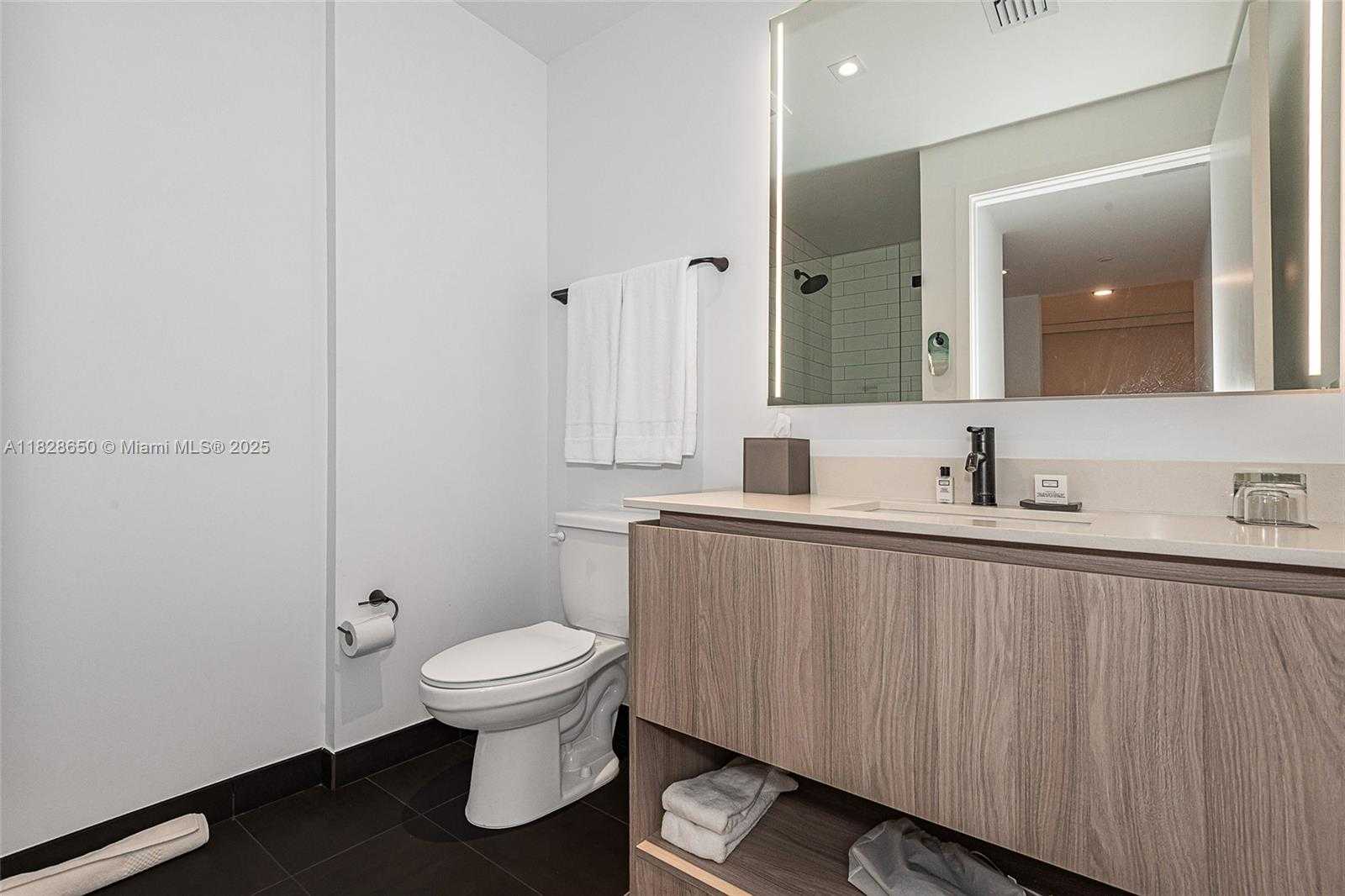 Small Image of 398 NORTH EAST 5TH ST #3717, Miami Number 15