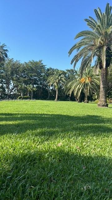 Small Image of 770 NORTH EAST 69TH ST #2E, Miami Number 49