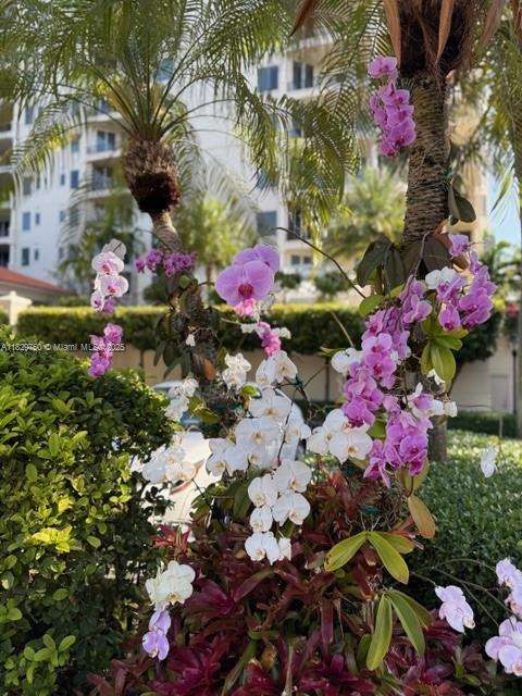 Small Image of 13621 DEERING BAY DR #502, Coral Gables Number 2