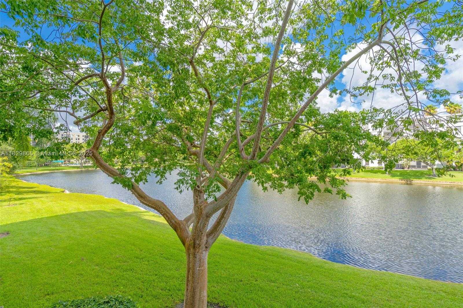 Small Image of 2106 SOUTH CYPRESS BEND DR #203, Pompano Beach Number 6