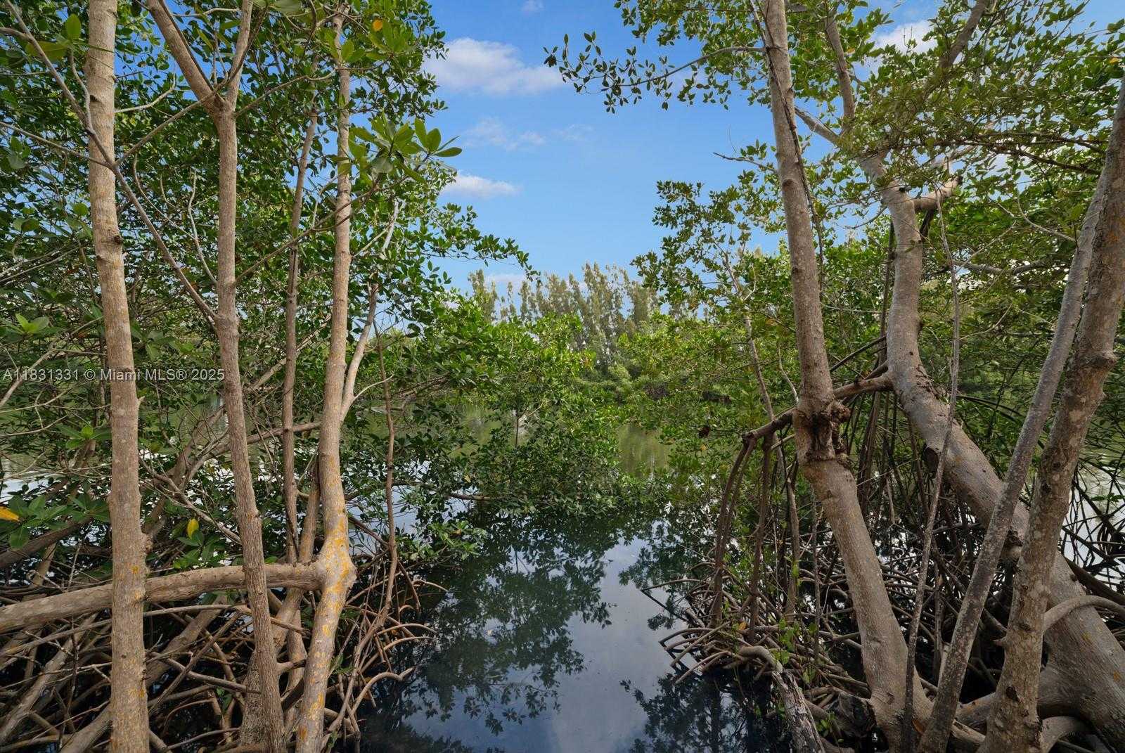 Small Image of 6226 PARADISE POINT DR, Palmetto Bay Number 24
