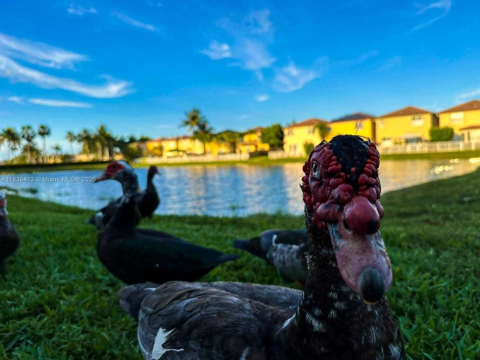 Small Image of 7427 NORTH WEST 113TH PATH, Doral Number 13