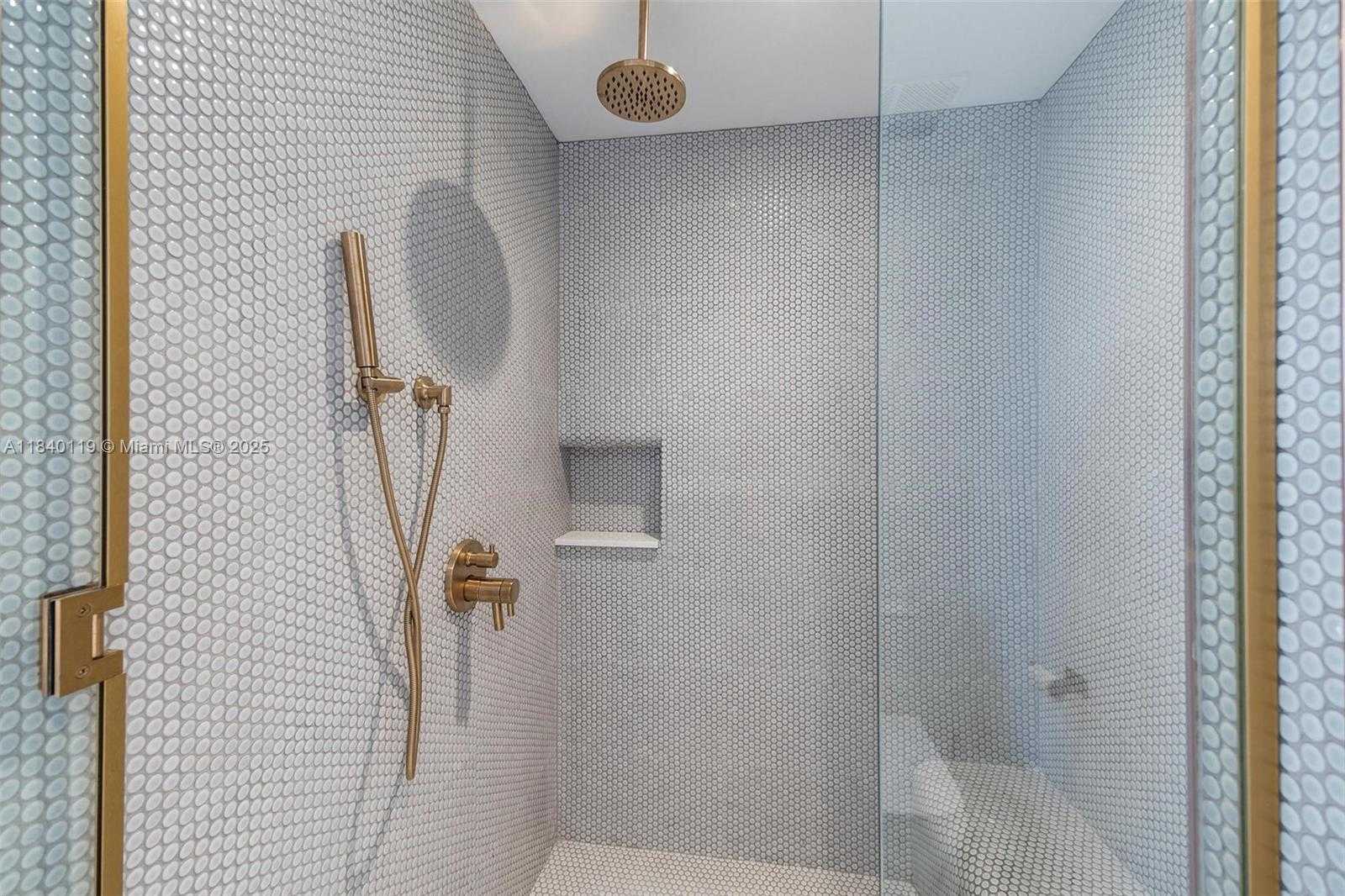 Small Image of 2678 TIGERTAIL #1603, Miami Number 12