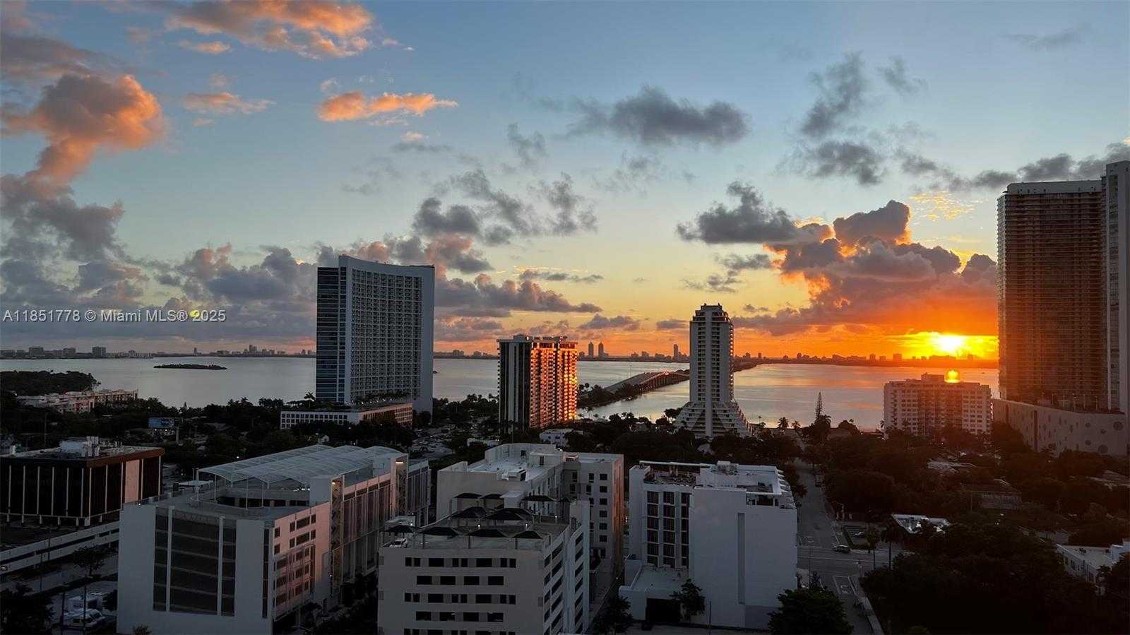 Small Image of Miami Number 5