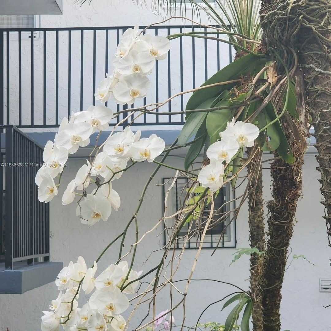 Small Image of 1800 SOUTH WEST 25TH ST #2304, Miami Number 14