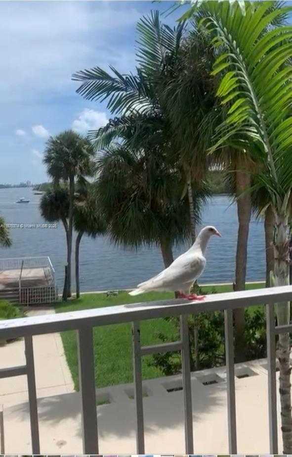 Small Image of 500 BAYVIEW DR #230, Sunny Isles Beach Number 35