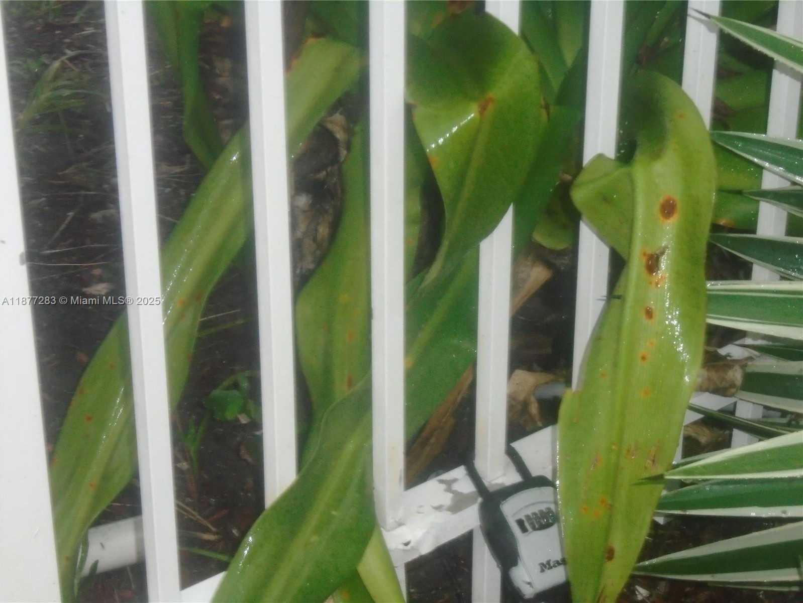 Small Image of 7051 ENVIRON BL #136, Lauderhill Number 6