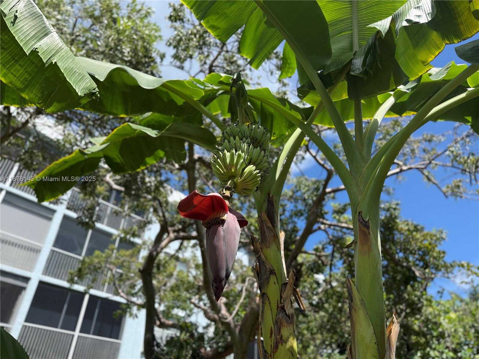 Small Image of 2000 SOUTH FEDERAL HWY #304, Boynton Beach Number 41