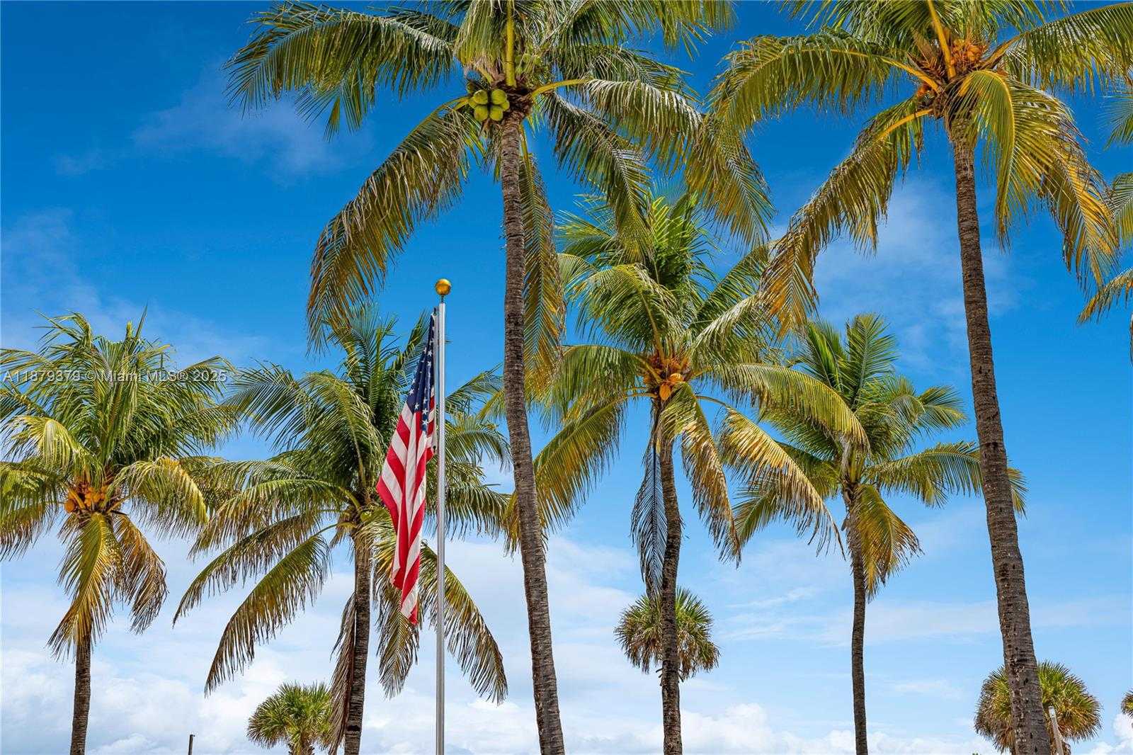 Small Image of 5005 COLLINS AVE #616, Miami Beach Number 47