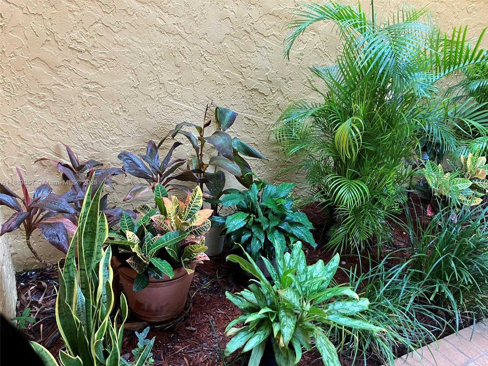 Small Image of 9311 SOUTH WEST 4TH ST #104B, Miami Number 14