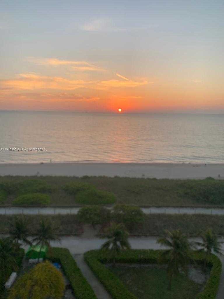 Small Image of Surfside Number 8