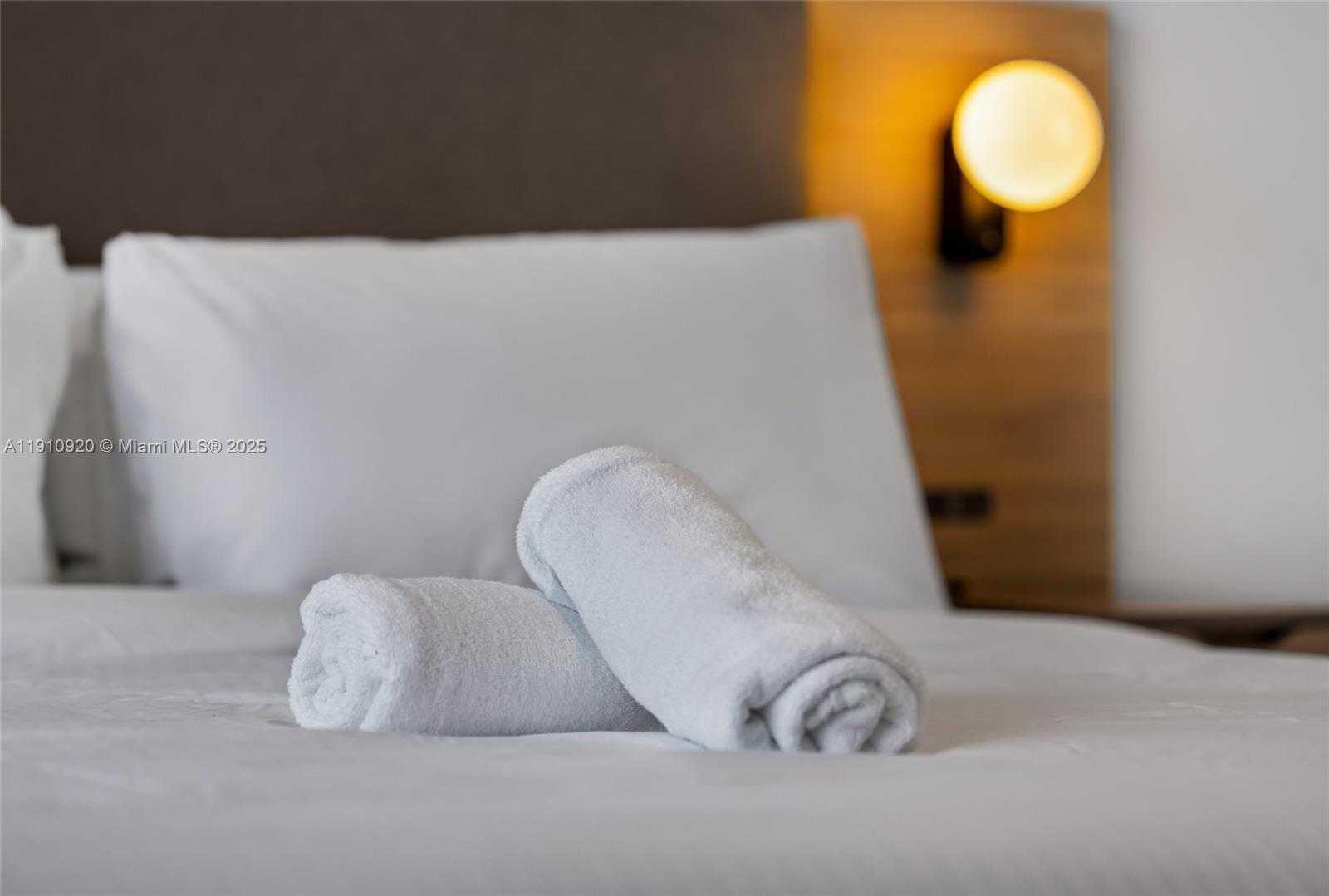 Small Image of 159 NORTH EAST 6TH ST #4007, Miami Number 24