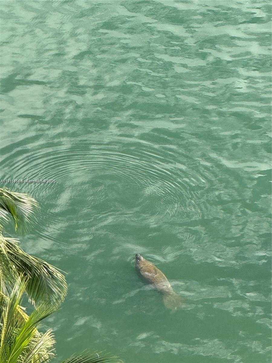 Small Image of 1155 BRICKELL BAY DR #2004, Miami Number 67