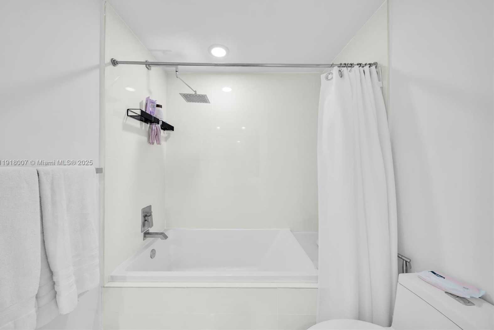 Small Image of 45 SOUTH WEST 9TH ST #3909, Miami Number 17