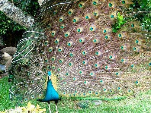 Imagen de Pequeño Objeto