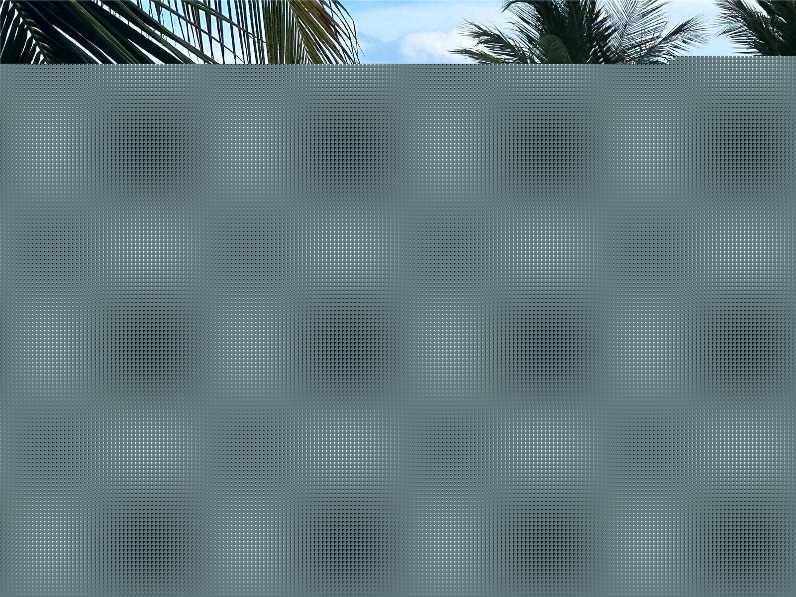 Small Image of 100 LINCOLN RD #1230, Miami Beach Number 16