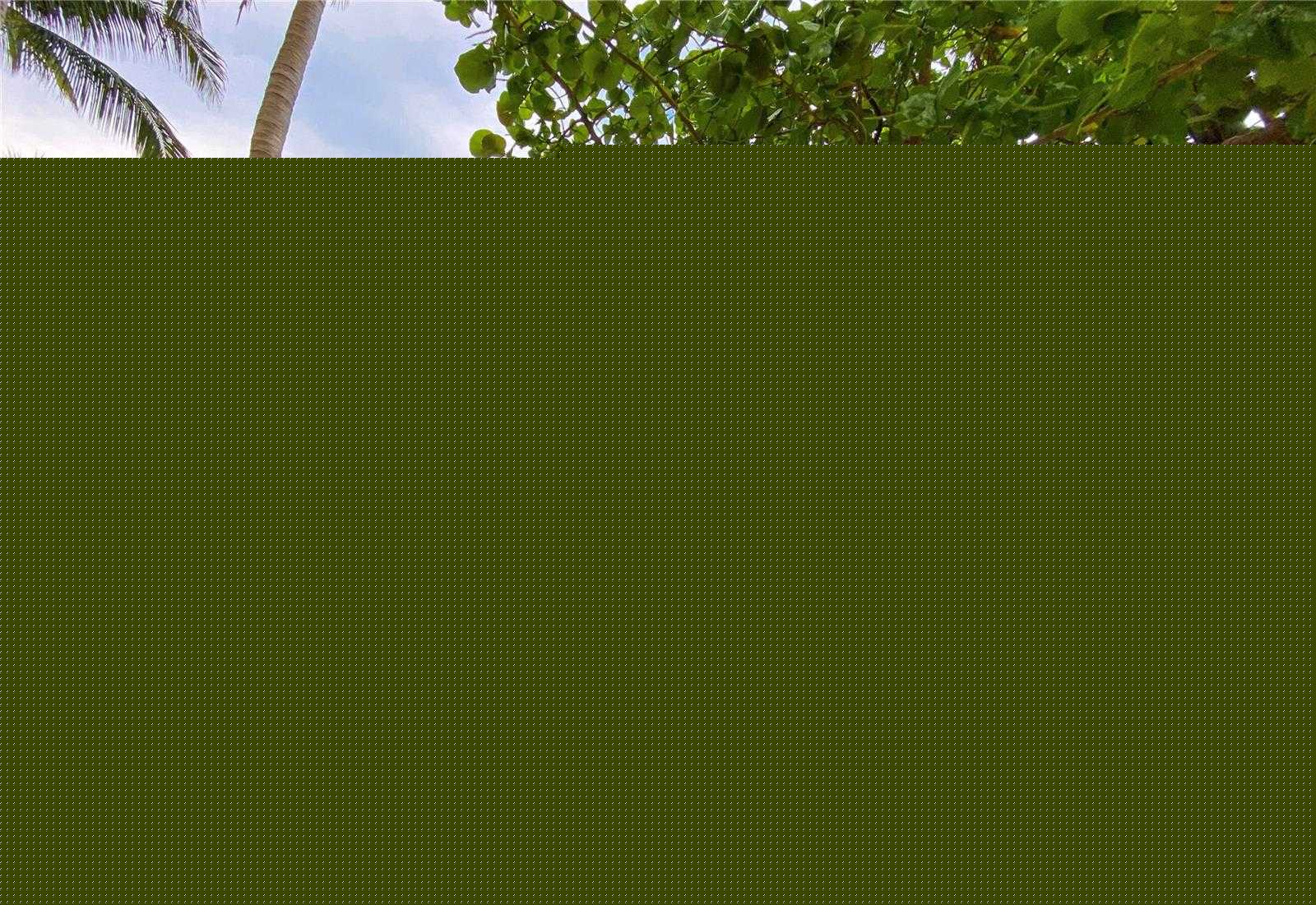 Small Image of 6899 COLLINS AVE #1605, Miami Beach Number 24