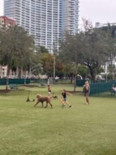 Small Image of 1750 NORTH BAYSHORE DR #1714, Miami Number 10