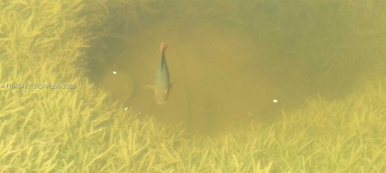 Small Image of 4821 SOUTH WEST 129TH AVE, Miami Number 14