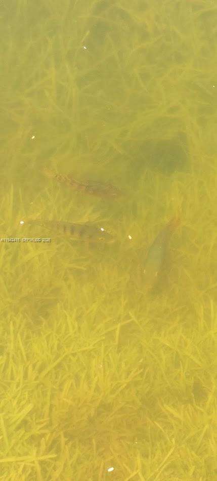 Small Image of 4821 SOUTH WEST 129TH AVE, Miami Number 15