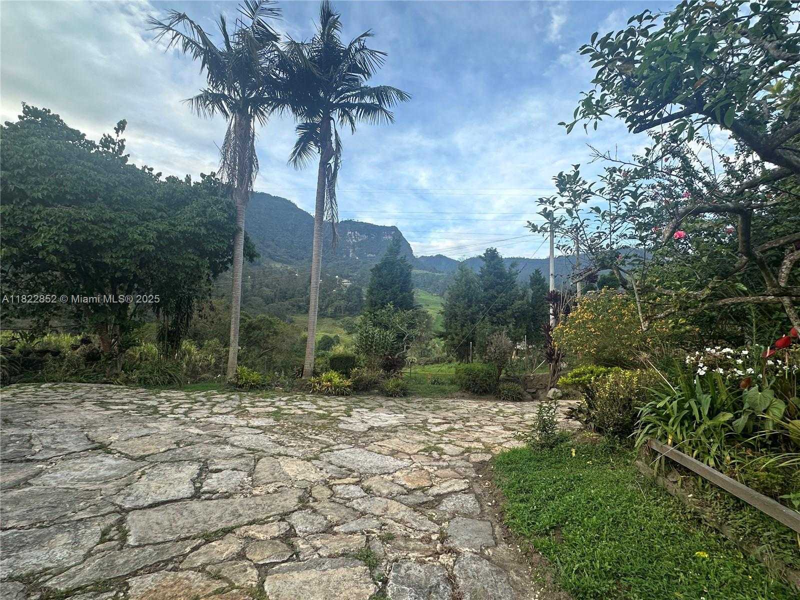Small Image of BOGOTA #3, Out of City Number 12