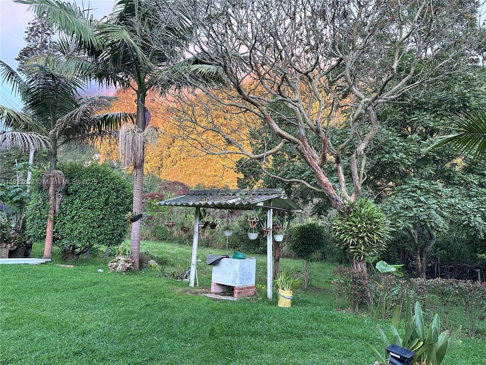 Small Image of BOGOTA #3, Out of City Number 14